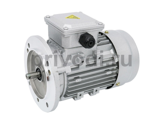 Мотор BN 100LA 8 230/400-50 IP54 FD