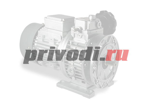 Вариатор CHV 10 D.19 B5 Chiaravalli